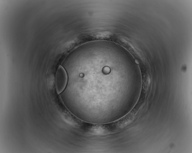 X0000101090704200807031726