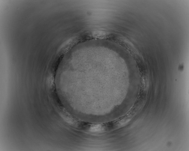 X0000101090705200807031726