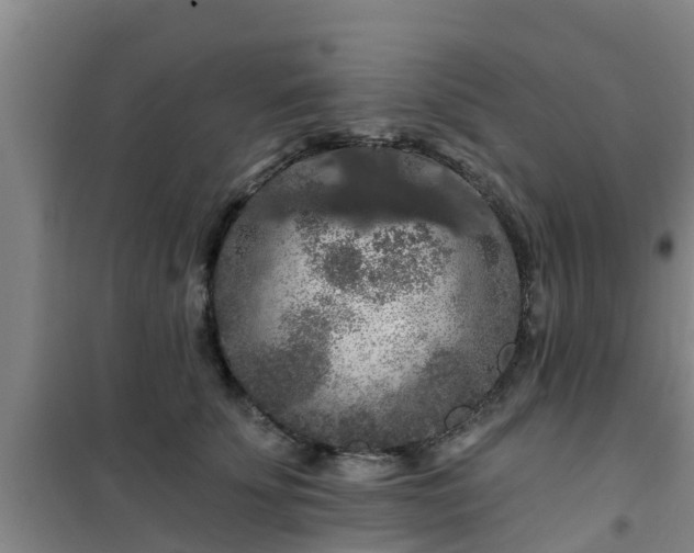 X0000101090707200807031726