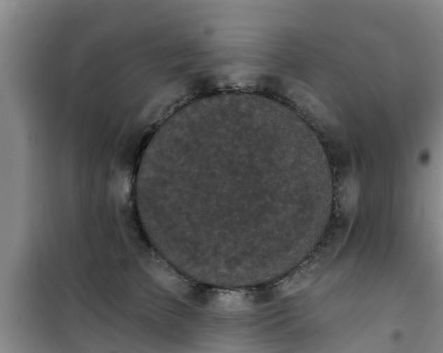 X0000101090709200807031726