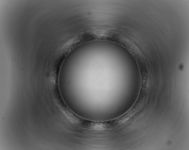 X0000101090710200807031726