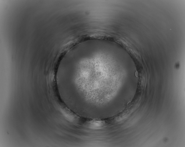 X0000101090711200807031726