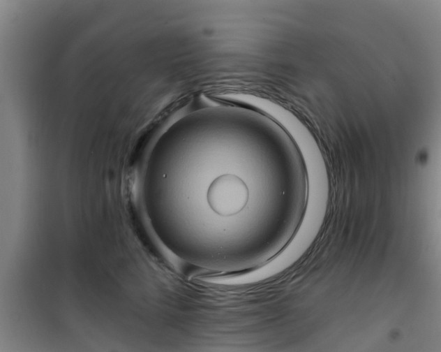 X0000101090712200807031726