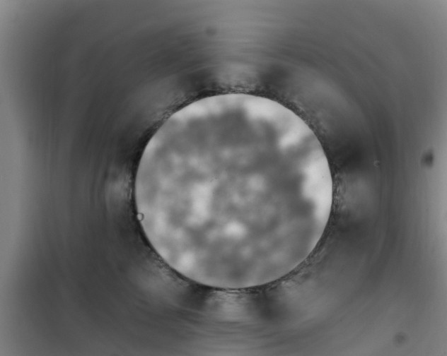 X0000101090713200807031726