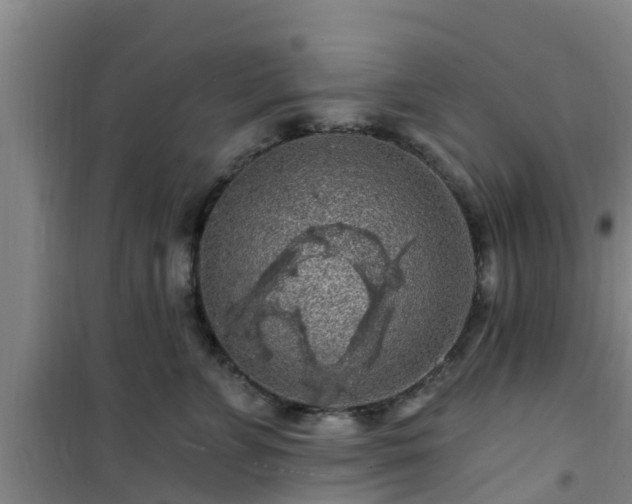 X0000101090715200807031726