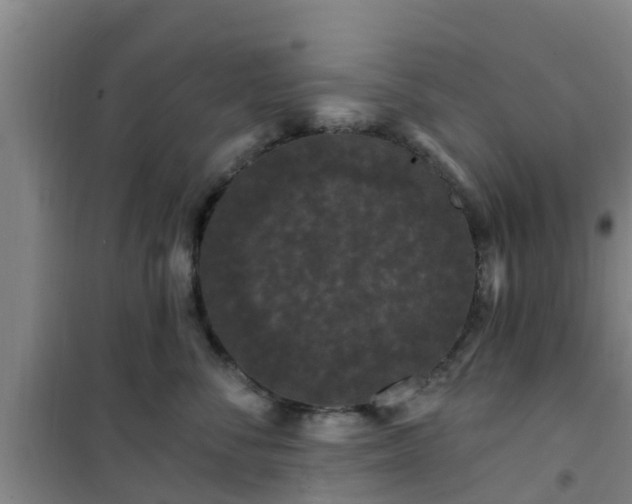 X0000101090716200807031726