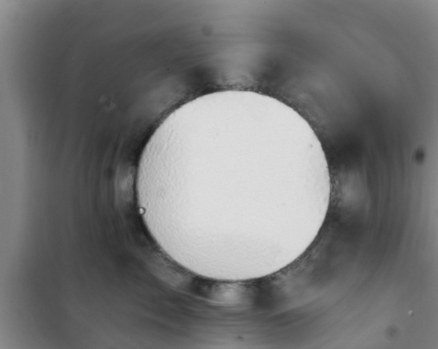 X0000101090717200807031726