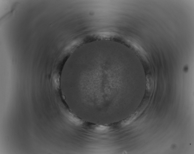 X0000101090718200807031726