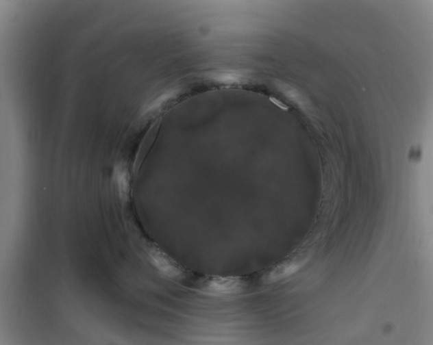 X0000101090720200807031726