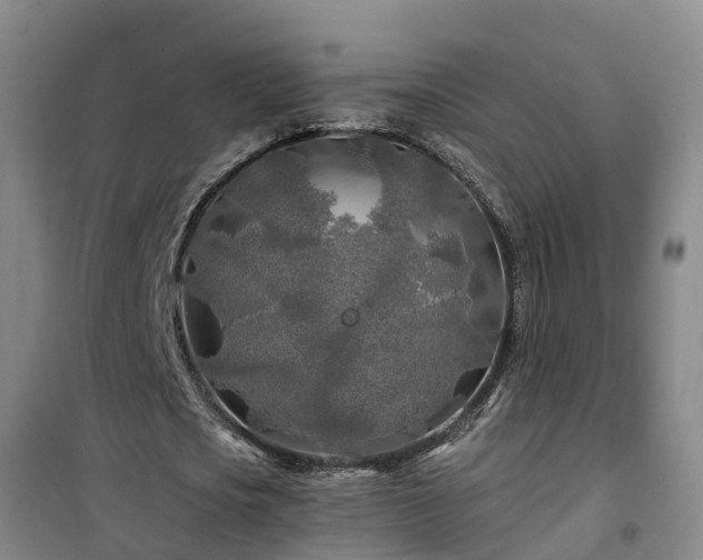 X0000101090721200807031725