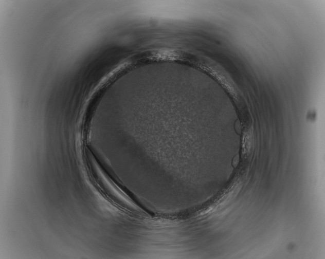 X0000101090722200807031726