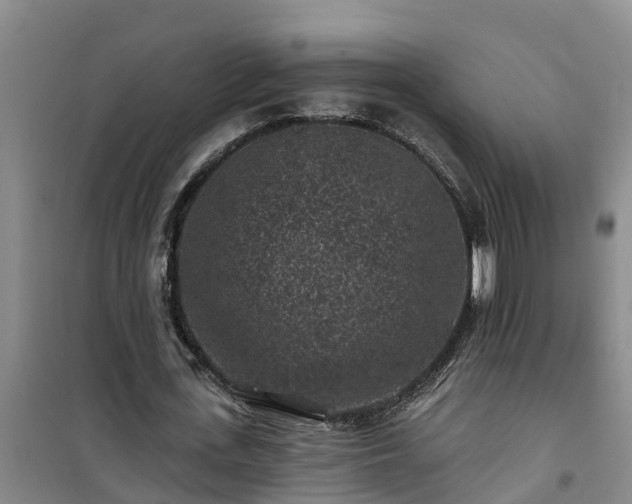 X0000101090723200807031726