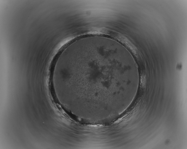 X0000101090724200807031726