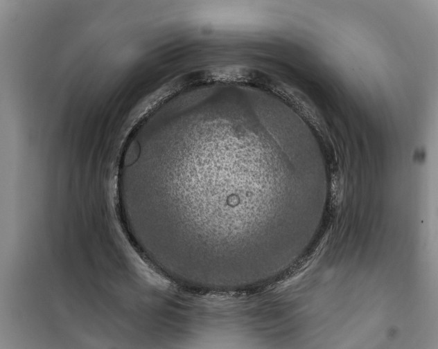 X0000101090725200807031726