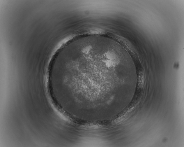 X0000101090726200807031726