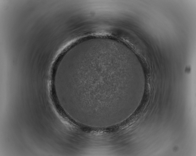 X0000101090728200807031726