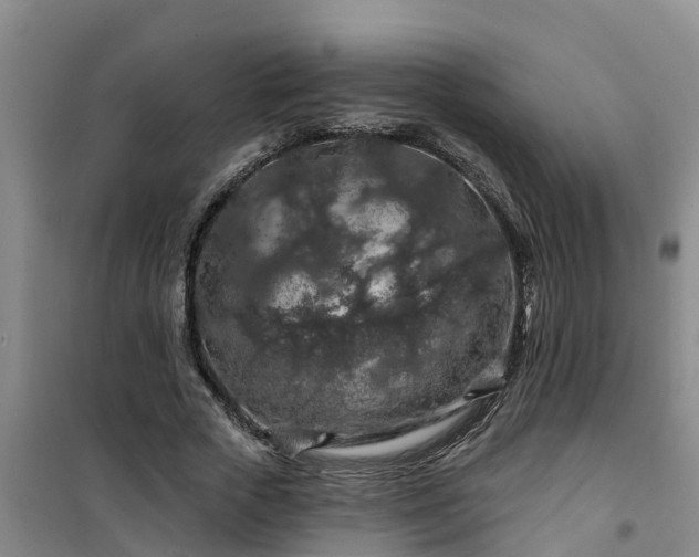 X0000101090729200807031726