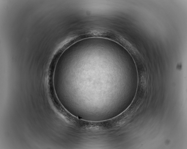 X0000101090730200807031726