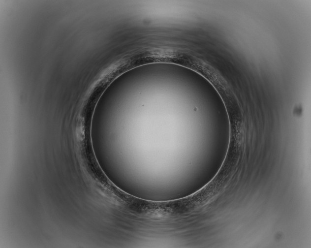 X0000101090731200807031726