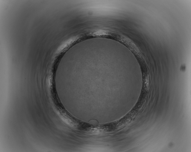 X0000101090732200807031726