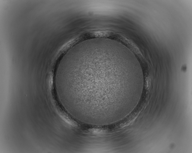 X0000101090733200807031726