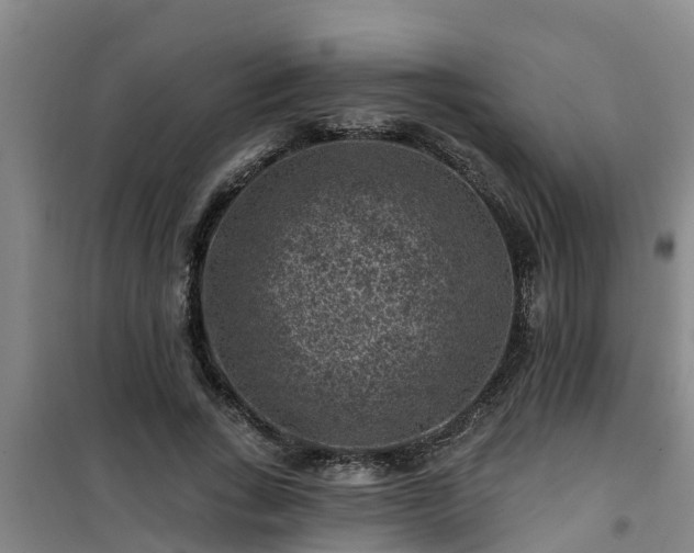 X0000101090735200807031726