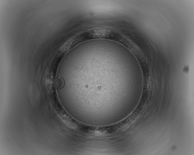 X0000101090737200807031726