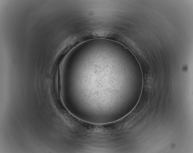 X0000101090738200807031726