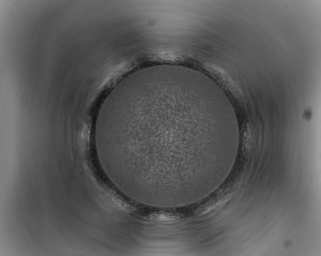 X0000101090739200807031726