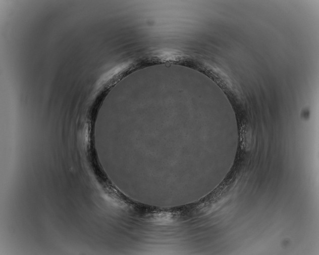 X0000101090740200807031726