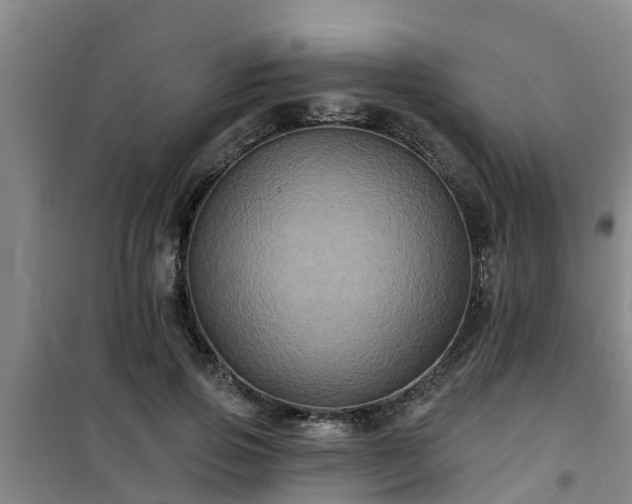 X0000101090741200807031726