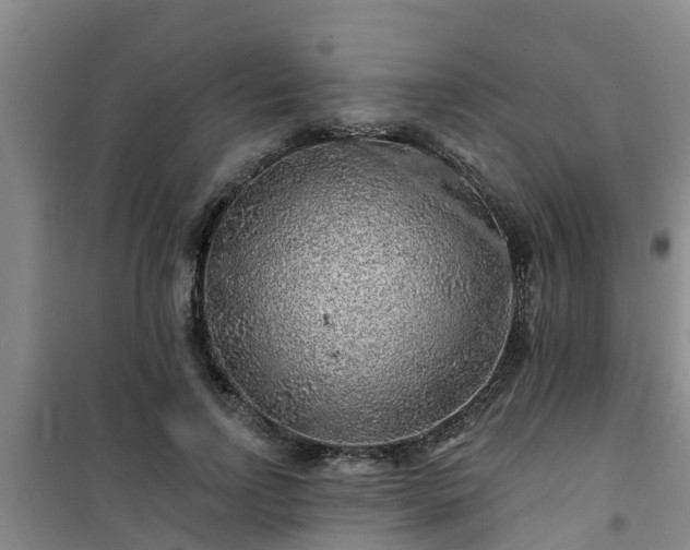 X0000101090742200807031726