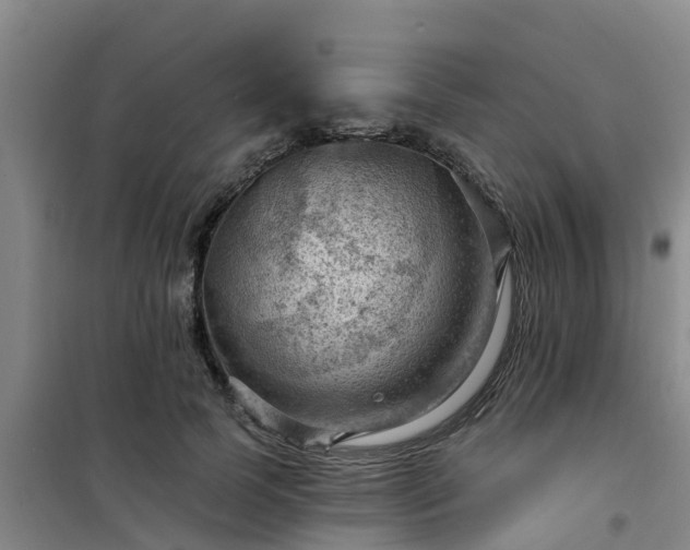 X0000101090745200807031726