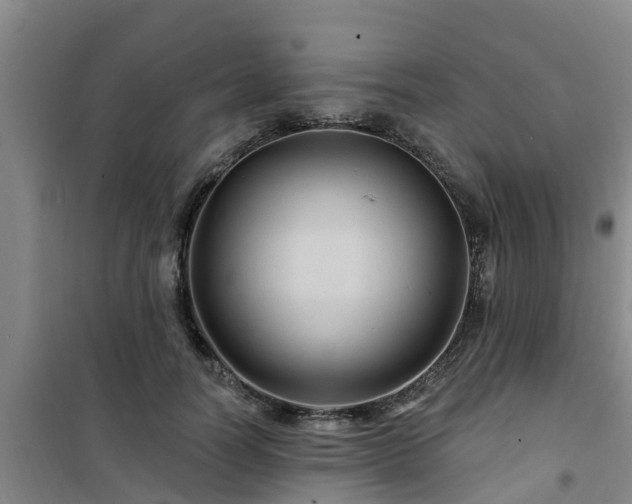 X0000101090746200807031726