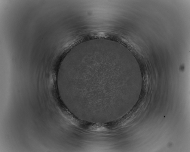 X0000101090747200807031726