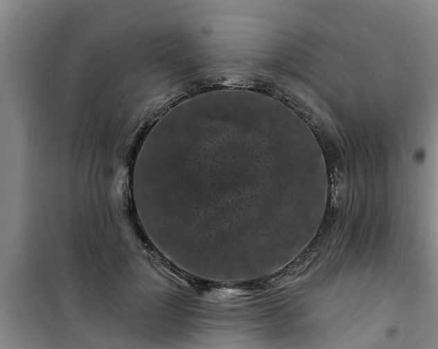 X0000101090748200807031726