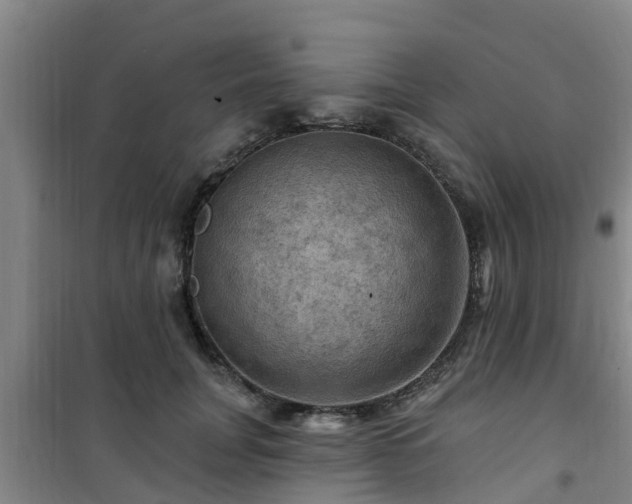 X0000101090751200807031726