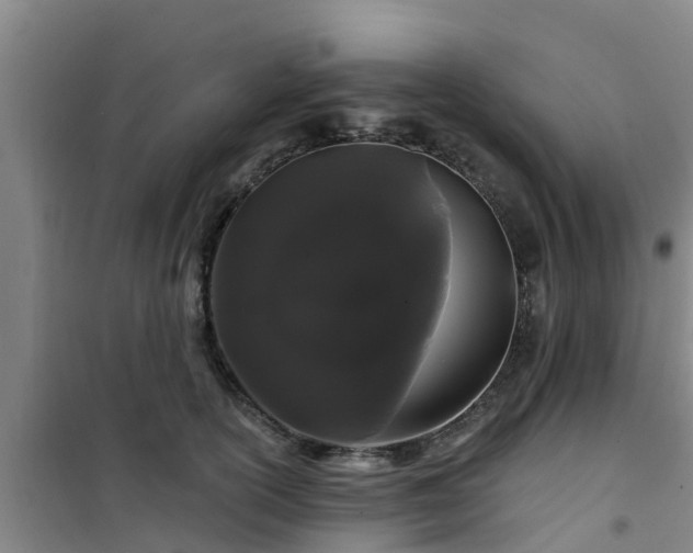 X0000101090754200807031726