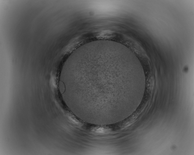 X0000101090755200807031726