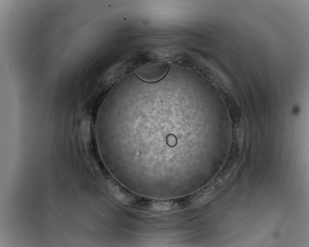 X0000101090757200807031726