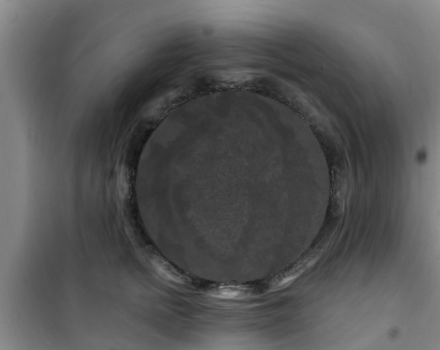 X0000101090758200807031726