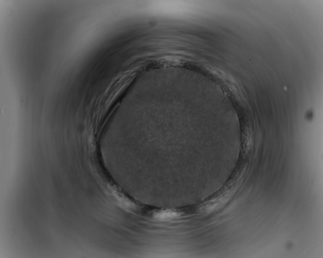 X0000101090759200807031726