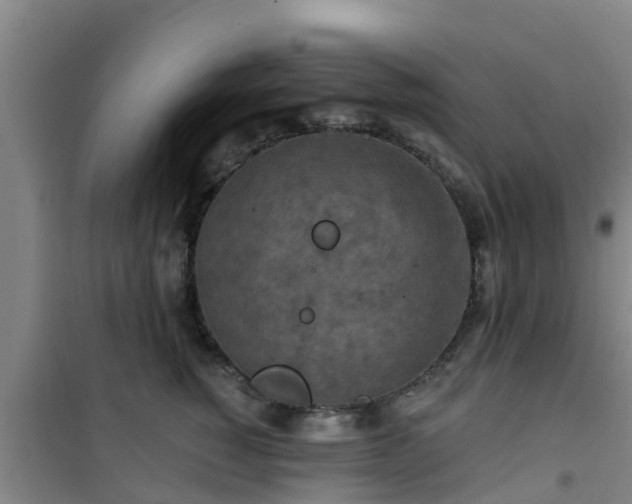 X0000101090760200807031726