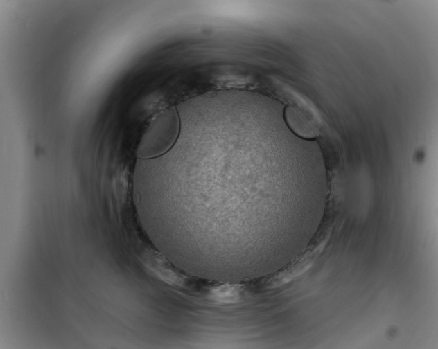 X0000101090761200807031726