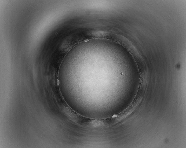 X0000101090762200807031726