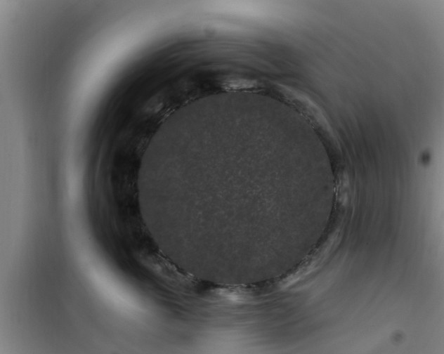 X0000101090763200807031726