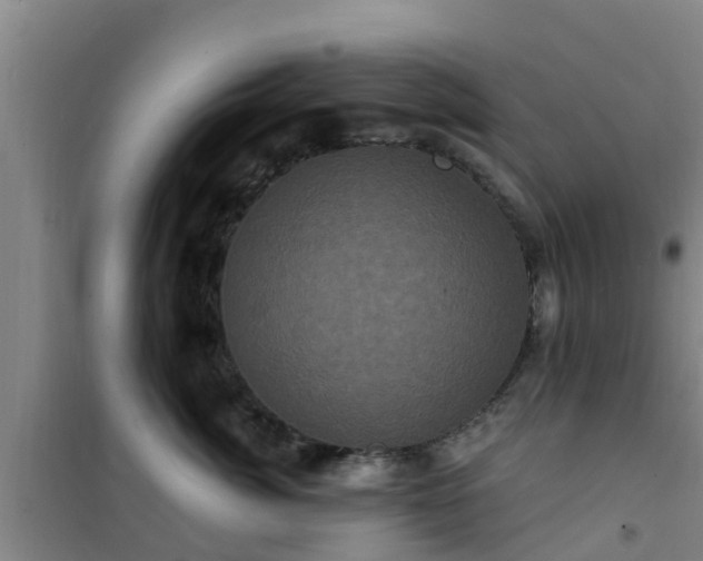 X0000101090764200807031726