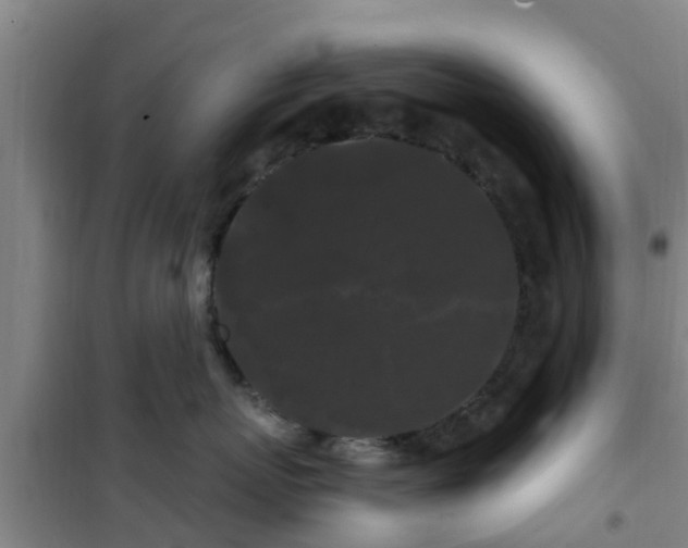 X0000101090767200807031726