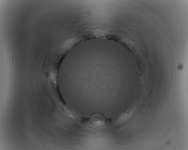 X0000101090768200807031726