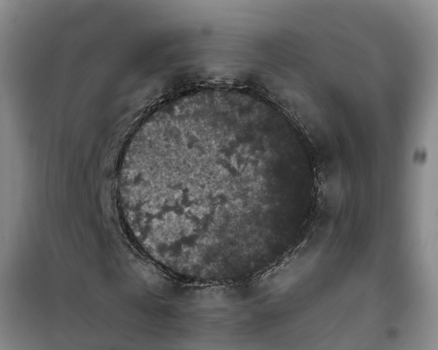 X0000101090769200807031725